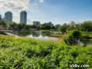 Scenic view of the pond and surrounding landscape at Lincoln Park Zoo's Nature Boardwalk