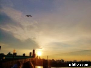 Spectacular sunset view over Chicago skyline and Lake Michigan from Offshore rooftop