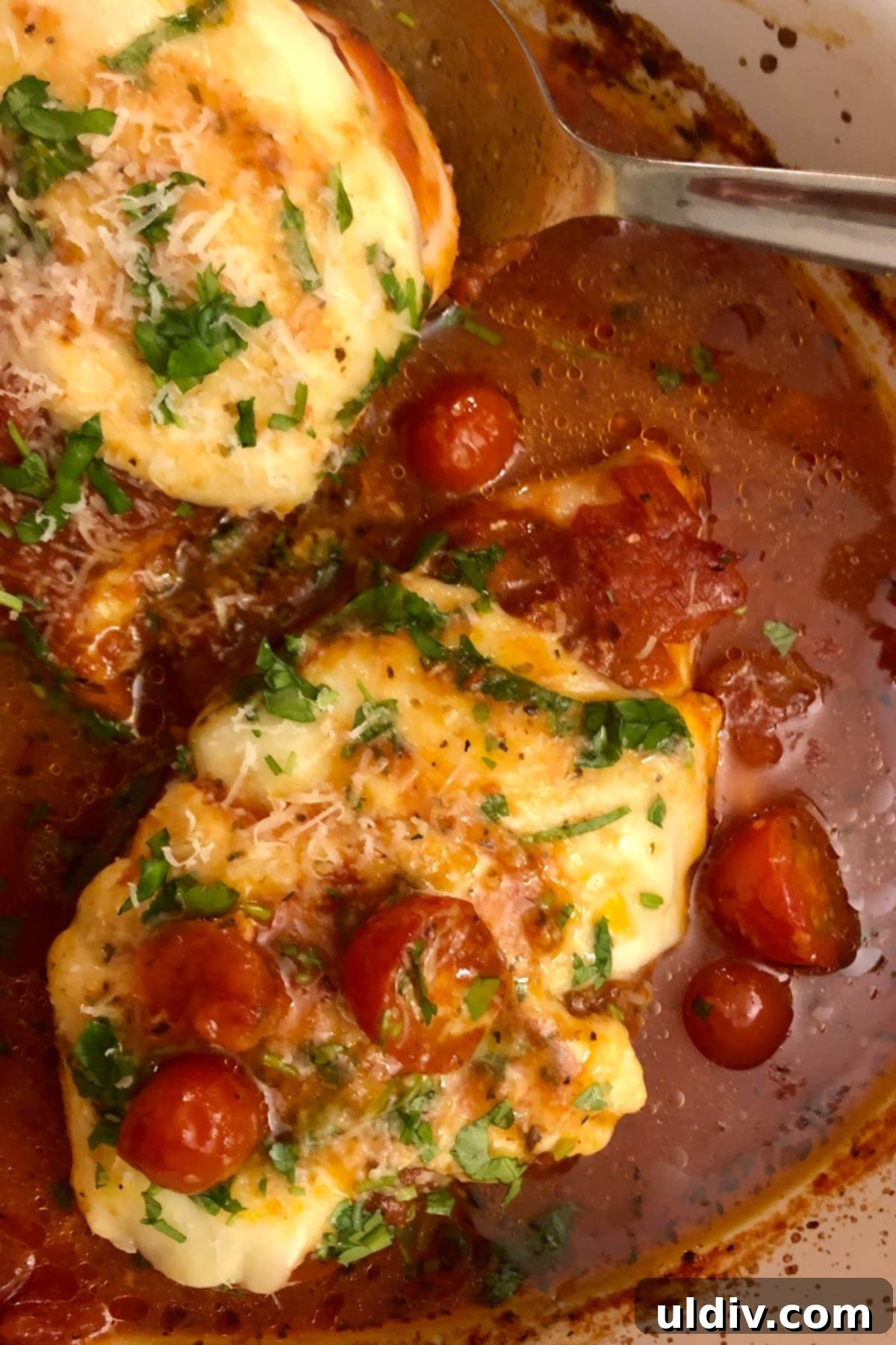 Zesty Marinara Chicken Melt 5 Baked Chicken Mozzarella Marinara ready to serve with fresh herbs