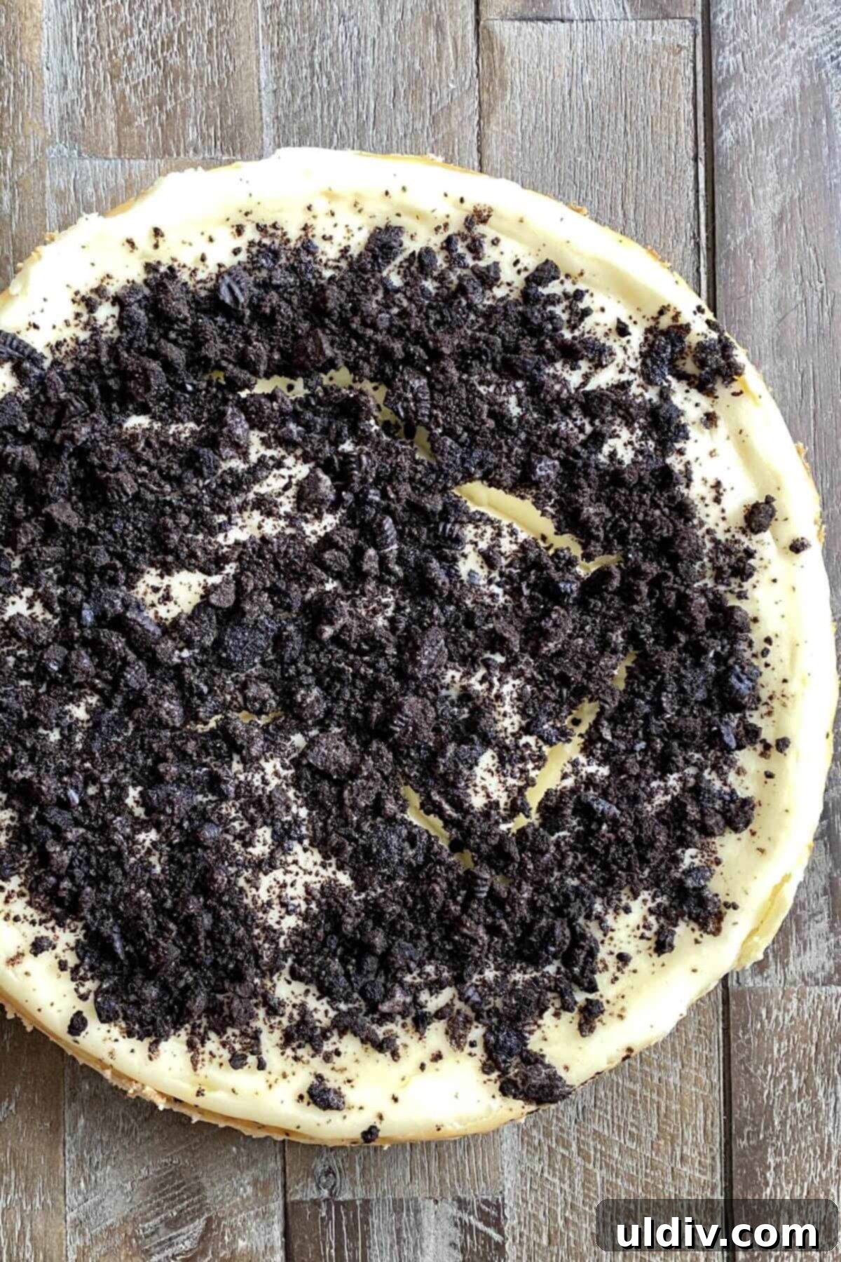 Quick and Easy Oreo Cheesecake 13 A beautifully presented whole Oreo cheesecake on a white serving platter, ready to be enjoyed.