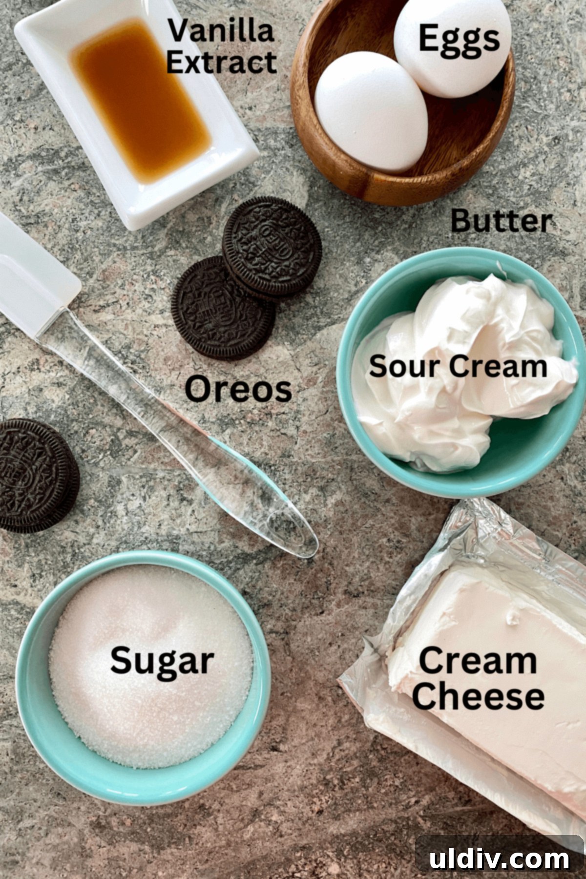 Quick and Easy Oreo Cheesecake 3 A flat lay image of all the ingredients needed for an Oreo cheesecake: cream cheese, Oreos, sour cream, sugar, vanilla, and eggs.