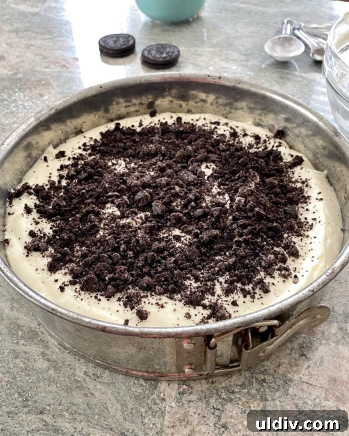 Quick and Easy Oreo Cheesecake 9 Oreo cookie crumbs sprinkled liberally over the unbaked cheesecake batter in the pan.