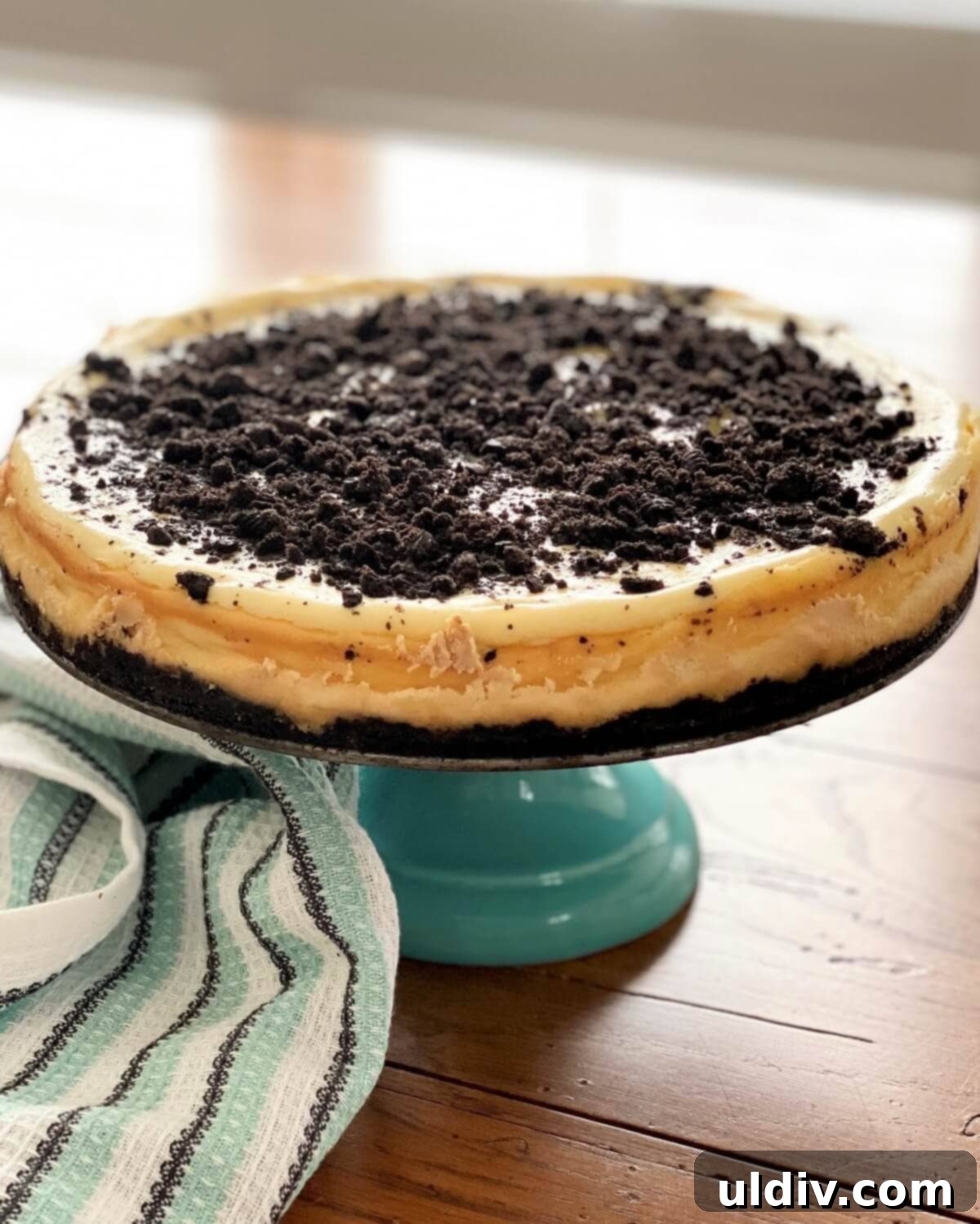 Quick and Easy Oreo Cheesecake 10 A freshly baked Oreo cheesecake cooling on a wire rack, still in its springform pan.