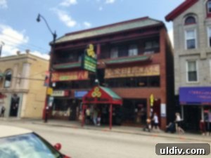 Chicago Chinatown's Cosmic Bites: Bao Buns, Bubble Tea, Stardust 5 Tour Guide Philip and group