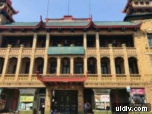 Chicago Chinatown's Cosmic Bites: Bao Buns, Bubble Tea, Stardust 7 Pui Tak Center building