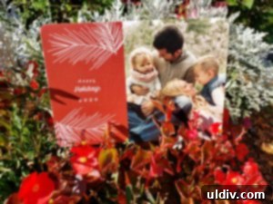 Basic Invite: Elevate Your Holiday Parties with Stunning Invitations 8 Beautiful 'Vintage Boughs' Christmas card design