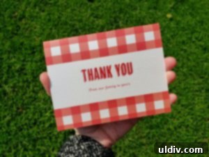 Basic Invite: Elevate Your Holiday Parties with Stunning Invitations 10 Coordinated family picnic invitation and thank you card set
