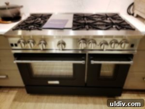 New Year's Resolution #2: Revamp the Kitchen? My BlueStar Cooking Demo 5 The beautifully decorated BlueStar appliance display space at Abt Glenview