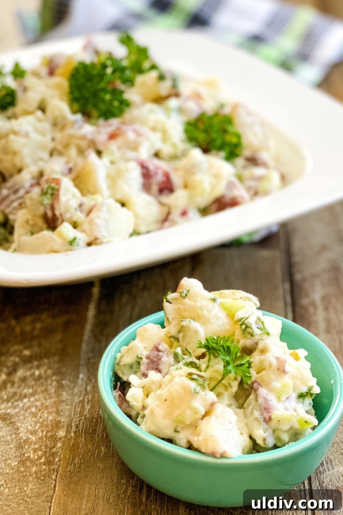 Creamy Red Potato Salad with a Tangy Dill Bite 3 large bowl of creamy red potato salad with dill pickles and a small serving
