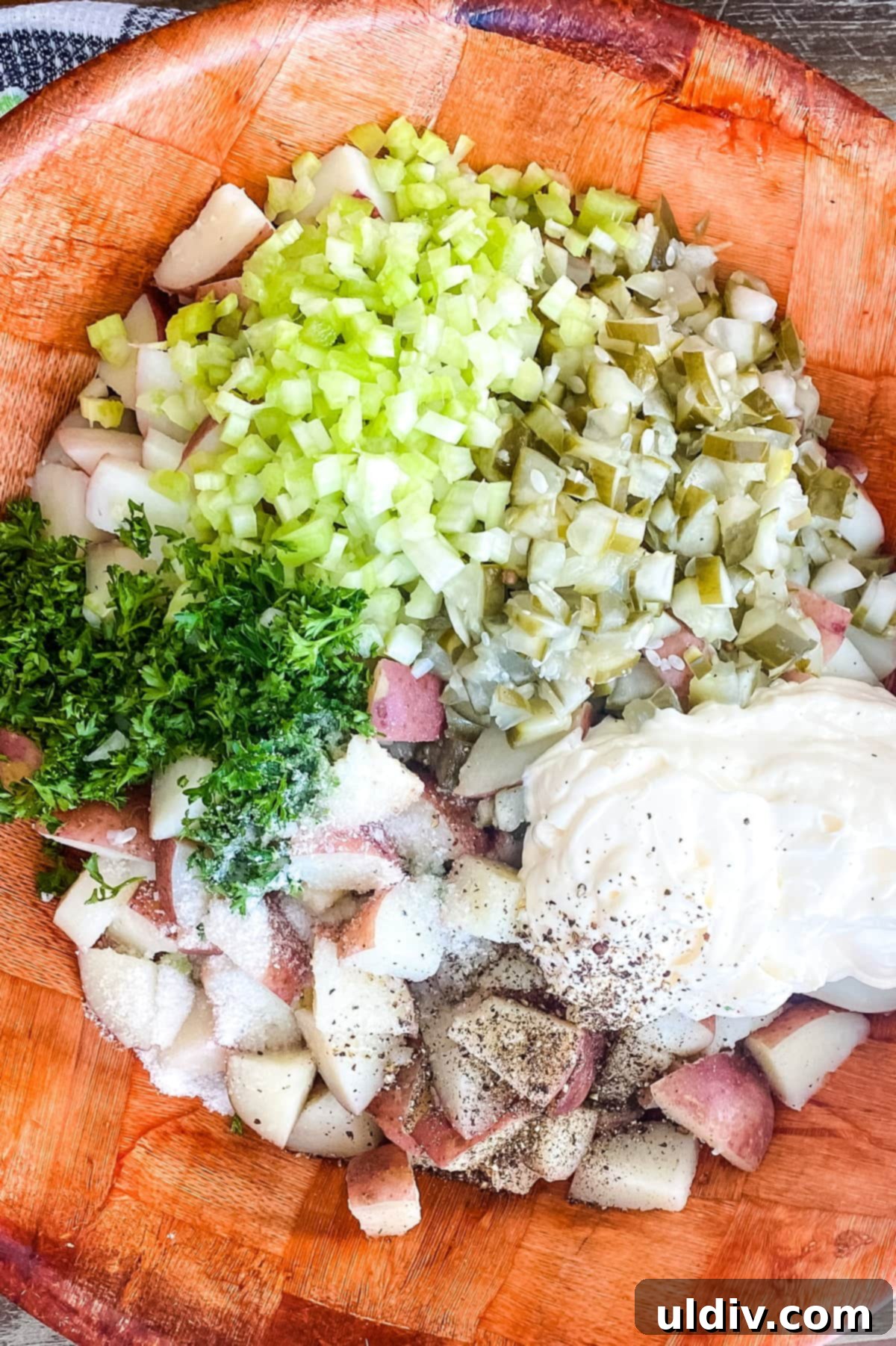 Homestyle Red Potato Salad with Zesty Dill Pickles 4 An overhead shot showcasing the fresh ingredients for homestyle red potato salad: vibrant red potatoes, crisp celery stalks, a jar of dill pickles, creamy mayonnaise, fresh parsley, and seasonings like kosher salt and pepper.