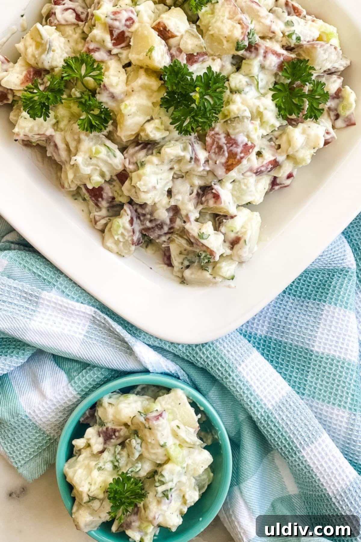 Homestyle Red Potato Salad with Zesty Dill Pickles 5 A close-up shot of a creamy Homestyle Red Potato Salad with Dill Pickles, showcasing its inviting texture and vibrant ingredients, ready to be served as a delicious barbecue or picnic side dish.