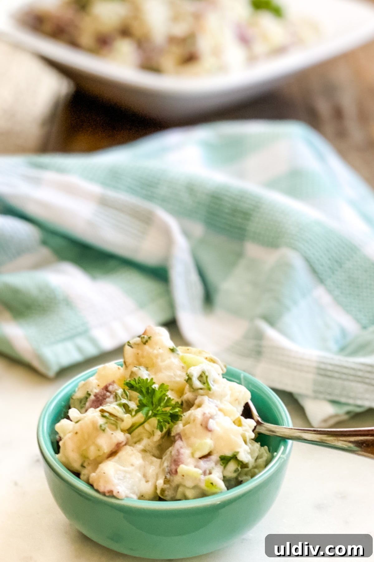 Creamy Red Potato Salad with a Tangy Dill Bite 6 a small bowl of creamy potato salad