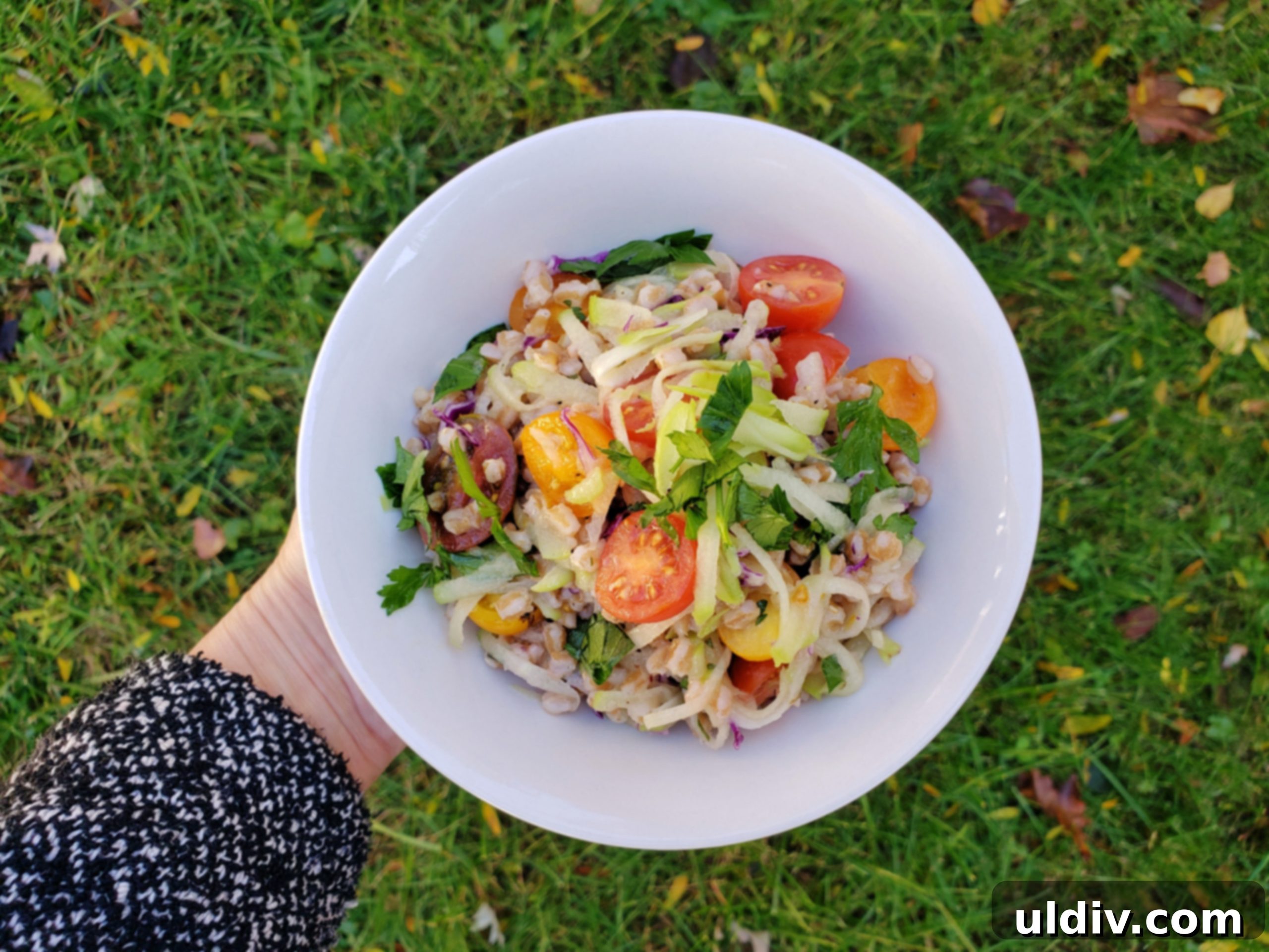 Year-Round Farro and Chayote Squash Salad 2 Delicious farro and chayote squash salad, fresh and vibrant.
