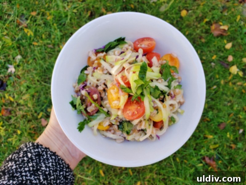 Year-Round Farro and Chayote Squash Salad 4 Colorful Farro and Chayote Squash Salad in a serving bowl.