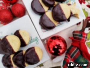 Find Your 2019 Holiday Gifts Spices Wines Books Coffee 2 Festive holiday scene with gifts, symbolizing the start of a gift guide