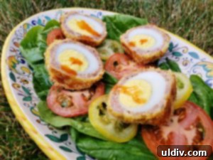 Find Your 2019 Holiday Gifts Spices Wines Books Coffee 18 Finished plate of homemade Scotch eggs, showcasing the delicious result