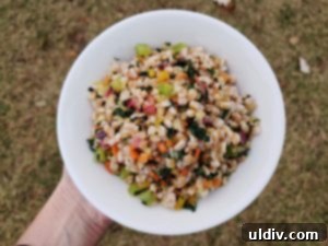 A dish of farro with rainbow chard, a recipe from 'Your Astrological Cookbook'