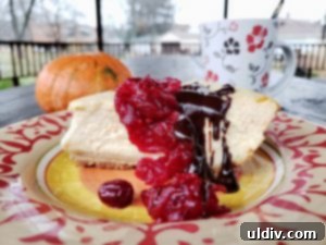 Find Your 2019 Holiday Gifts Spices Wines Books Coffee 4 Delicious pumpkin cheesecake, highlighting the richness achieved with quality vanilla extract