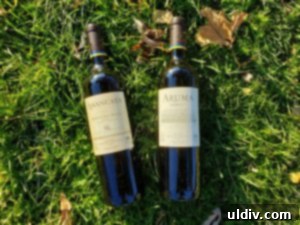 Find Your 2019 Holiday Gifts Spices Wines Books Coffee 5 Elegant bottle of Bodegas CARO wine, ready for gifting