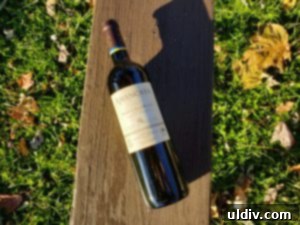 Find Your 2019 Holiday Gifts Spices Wines Books Coffee 7 Glass of deep ruby AMANCAYA wine, showcasing its rich color