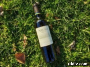 Find Your 2019 Holiday Gifts Spices Wines Books Coffee 8 Close-up of Bodegas CARO wine labels, signifying quality and elegance