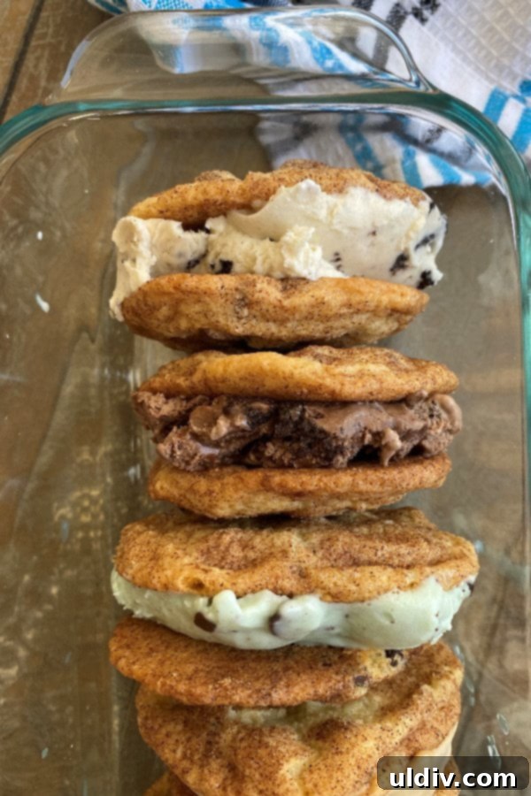 Snickerdoodle Blisswich 2 Close-up of a homemade Snickerdoodle Cookie Ice Cream Sandwich, showing a thick layer of ice cream between two cinnamon-dusted cookies.