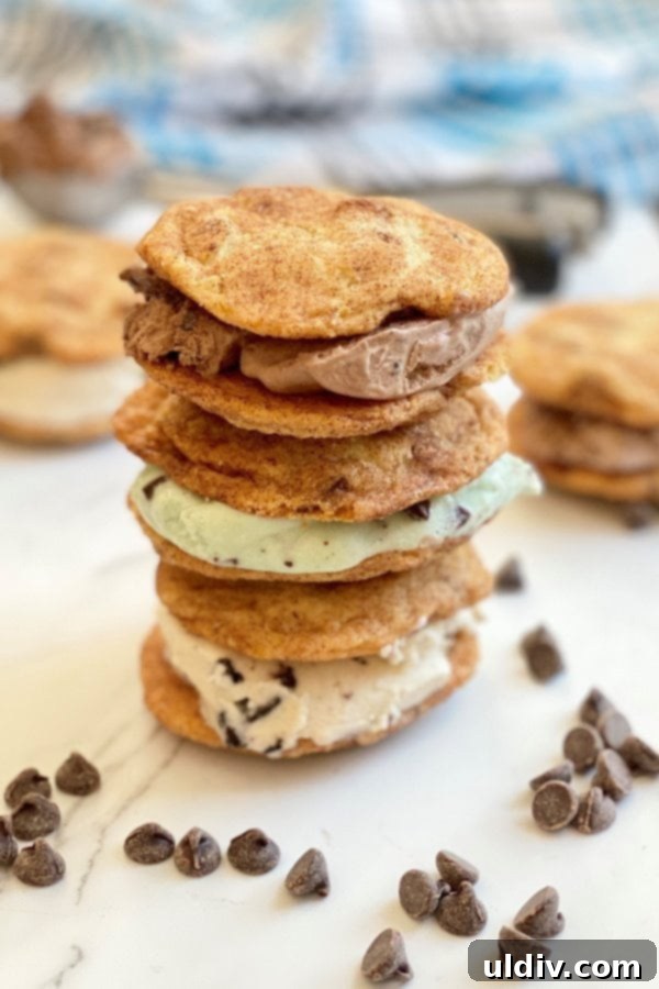 Snickerdoodle Blisswich 4 Three perfectly assembled Snickerdoodle Cookie Ice Cream Sandwiches, showing the thick ice cream filling and cinnamon-sugar dusted cookies.