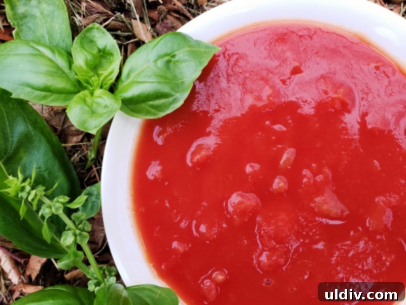 Experience True Freshness: European Canned Tomatoes for Exceptional Cooking 11 Polpa di pomodoro for meatballs