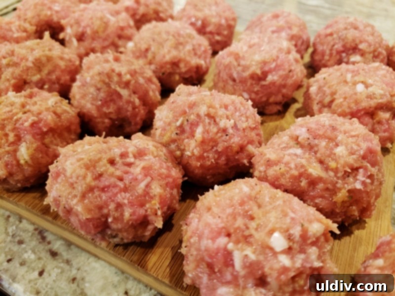 Experience True Freshness: European Canned Tomatoes for Exceptional Cooking 13 Prepared meatballs