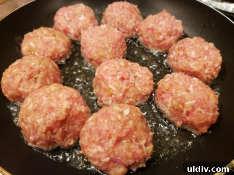 Experience True Freshness: European Canned Tomatoes for Exceptional Cooking 14 Browning meatballs