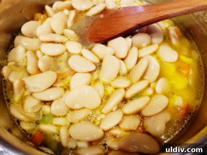 Experience True Freshness: European Canned Tomatoes for Exceptional Cooking 6 Canned butter beans
