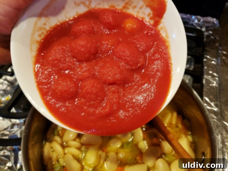 Experience True Freshness: European Canned Tomatoes for Exceptional Cooking 7 Adding cherry tomatoes to stew