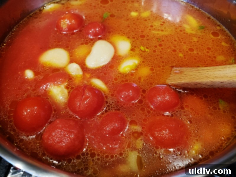 Experience True Freshness: European Canned Tomatoes for Exceptional Cooking 8 Stew simmering with cherry tomatoes