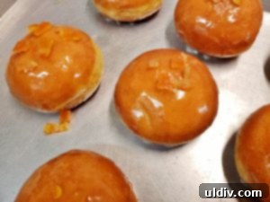 More Than Paczki: A Pastry Revelation 10 Another close-up of a paczki, showing its texture and filling