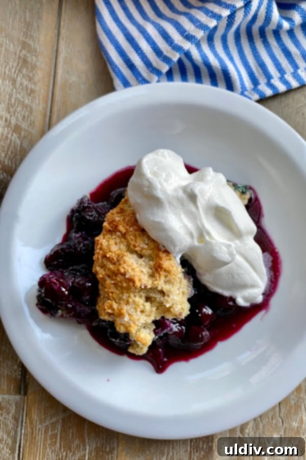 blueberry cobbler topped with homemade whipped cream