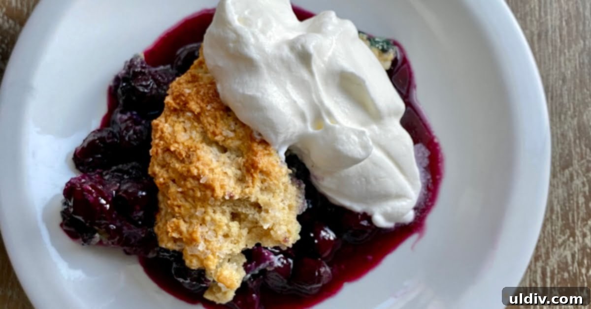 single serving of an easy blueberry cobbler recipe
