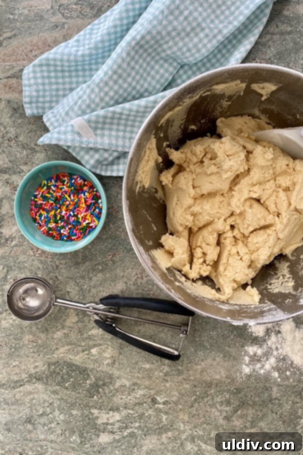Perfect Drop Sugar Cookies No Rolling No Cutting 4 Close-up of golden sugar cookie dough, a vibrant bowl of rainbow sprinkles, and a practical cookie scoop, all set for an enjoyable baking session.