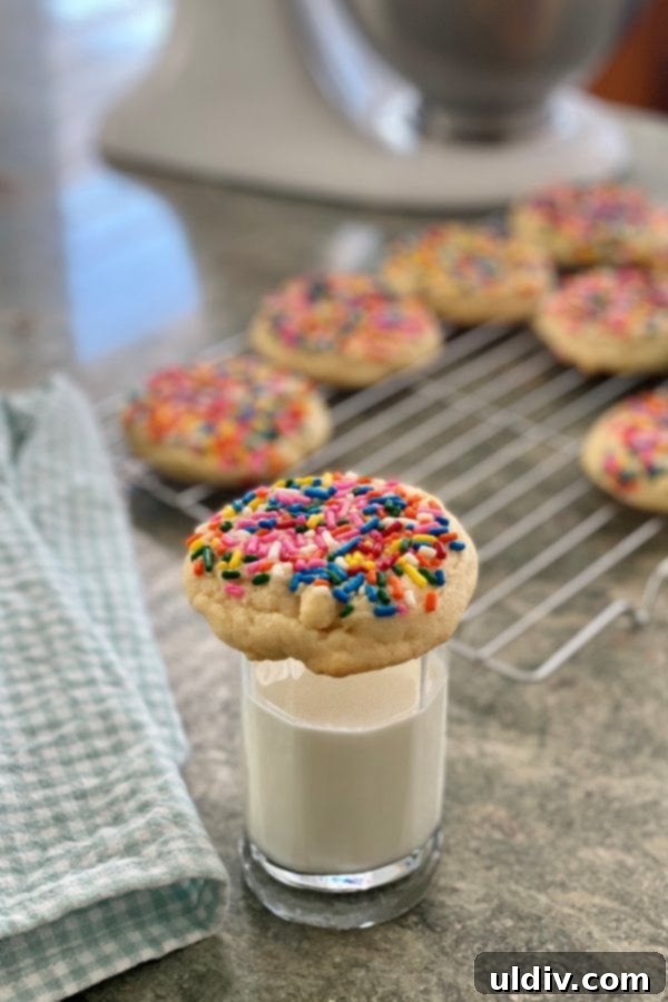 Perfect Drop Sugar Cookies No Rolling No Cutting 6 A single, perfectly baked drop sugar cookie with rainbow sprinkles delicately balanced on the rim of a tall glass of fresh milk, inviting a classic pairing.