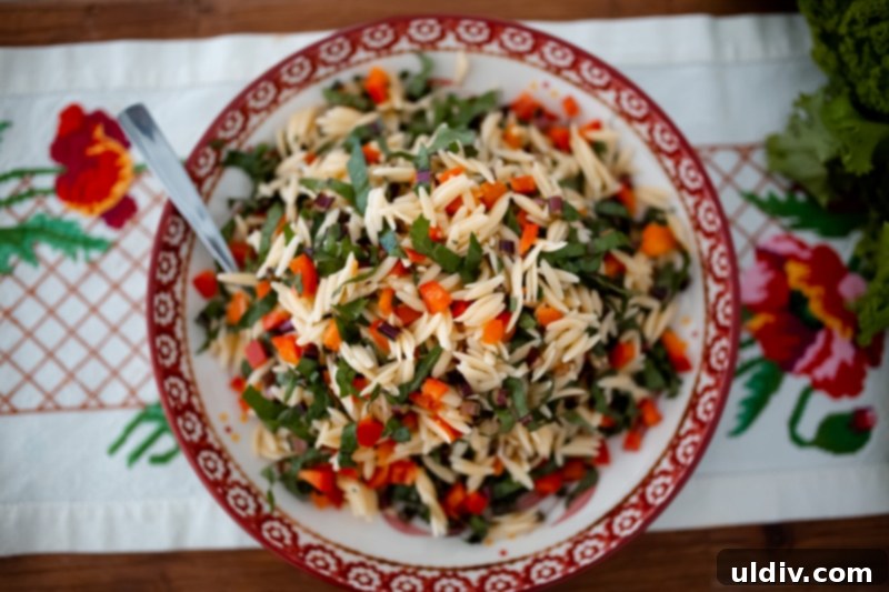 Close up of Orzo and Dandelion Green Salad