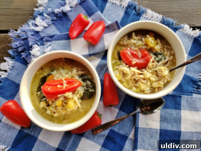 Cold Weather Comfort: Chicken Lemon Orzo Soup for Cozy Days At Home 2 A comforting bowl of homemade chicken lemon orzo soup, garnished with fresh herbs.