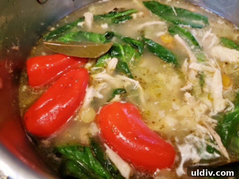 Cold Weather Comfort: Chicken Lemon Orzo Soup for Cozy Days At Home 5 A close-up shot of the finished chicken lemon orzo soup, showcasing its rich texture and ingredients.