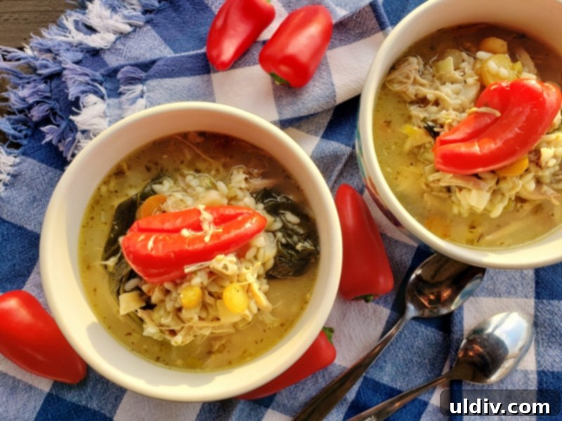 Cold Weather Comfort: Chicken Lemon Orzo Soup for Cozy Days At Home 6 Another view of the hearty chicken lemon orzo soup, emphasizing its thick and chunky consistency.