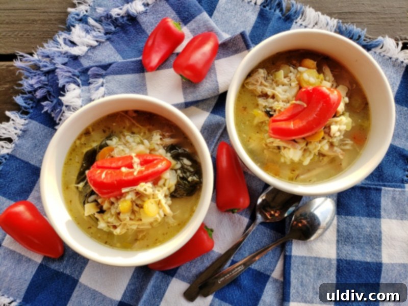 Cold Weather Comfort: Chicken Lemon Orzo Soup for Cozy Days At Home 7 A serving of chicken lemon orzo soup in a bowl, showing its texture.