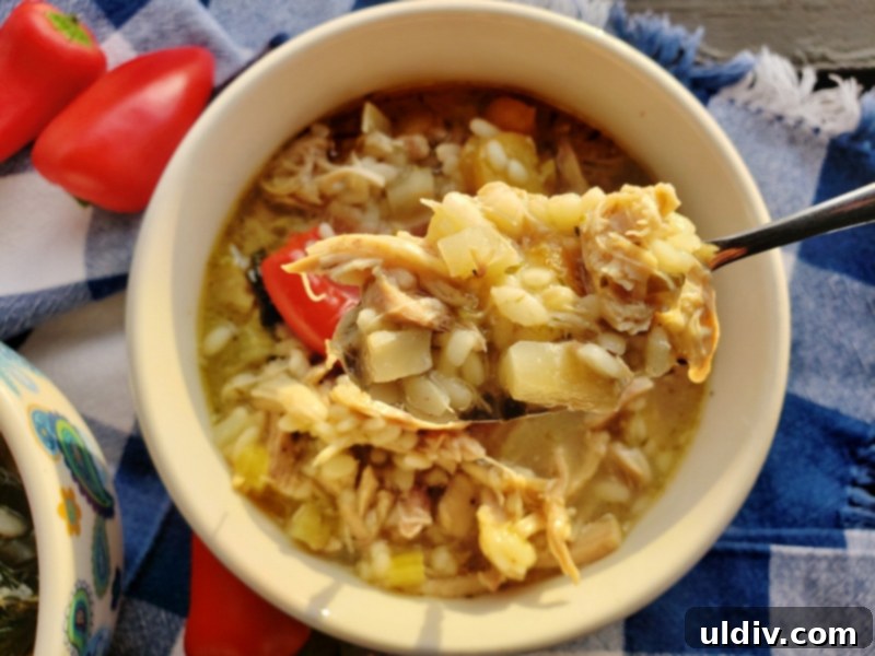 Cold Weather Comfort: Chicken Lemon Orzo Soup for Cozy Days At Home 8 Another perspective of the delicious chicken lemon orzo soup, ready to be enjoyed.