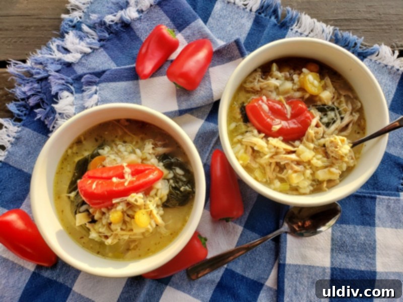 Cold Weather Comfort: Chicken Lemon Orzo Soup for Cozy Days At Home 10 A final, enticing image of the chicken lemon orzo soup in a bowl.