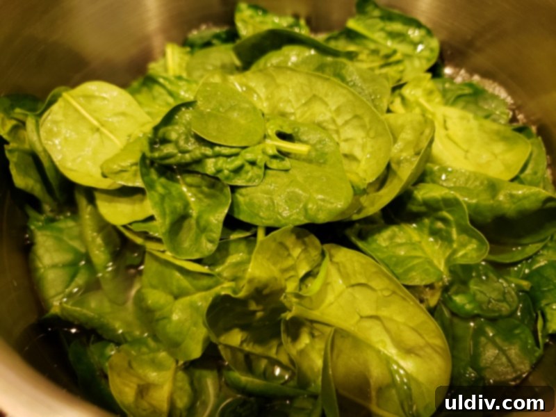 Fresh Greens For Spring Fuel Your Vibrant Life 3 Wilted spinach leaves in a saucepan, ready for cooling