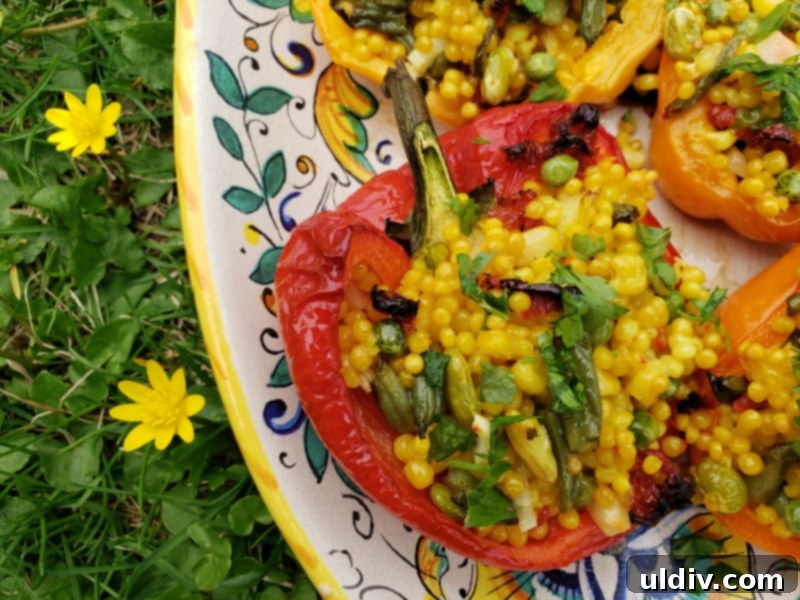 Pantry Perfect Vegan Stuffed Peppers 8 Close-up of a single vegan couscous stuffed pepper, showcasing its vibrant colors and texture