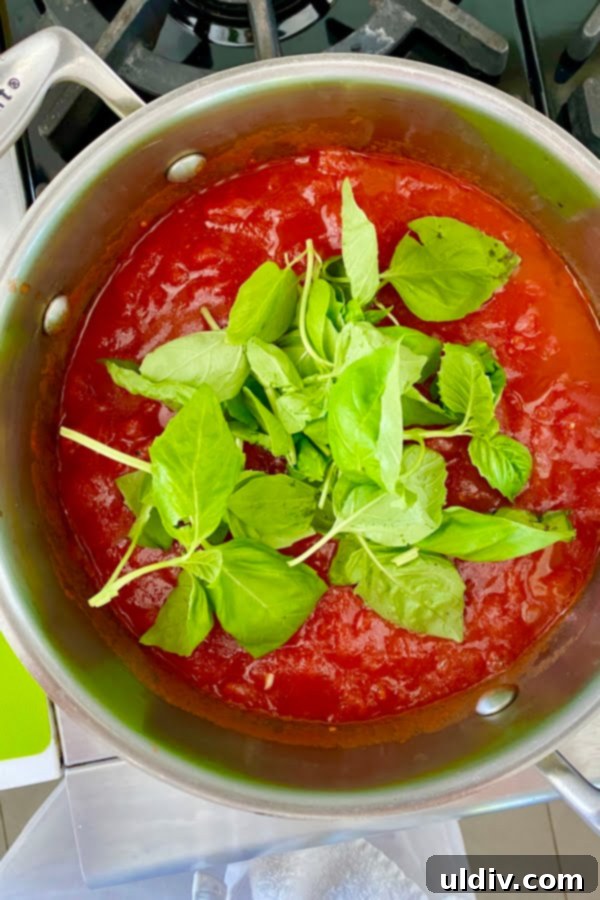Signature Fresh Basil Marinara 4 A generous bundle of fresh green basil leaves, illustrating a key ingredient for homemade marinara sauce.