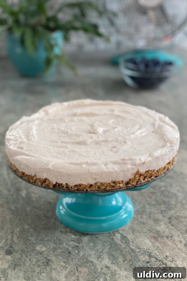 Dreamy No-Bake Strawberry Cheesecake with Berry Coulis 4 A full, pristine no-bake strawberry cheesecake with a smooth, pinkish filling and a golden granola crust, garnished minimally to showcase its beauty, presented on a white cake stand.