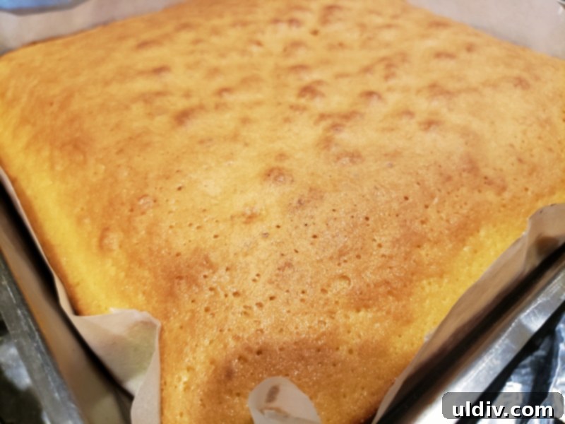 Citrus Bloom Cake: My Summer Dream 14 Slices of citrus cake ready for decoration